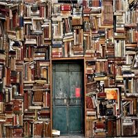 Lost in Citations cover