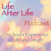 Life After Life Podcast - Our Soul's Experience in Life and Death cover