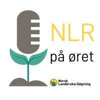 NLR på øret cover