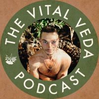 The Vital Veda Podcast: Ayurveda | Holistic Health | Cosmic and Natural Law cover
