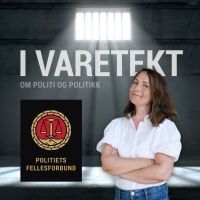 I varetekt - om politi og politikk cover