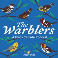 The Warblers by Birds Canada cover