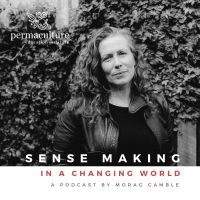 Sense-making in a Changing World cover