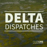 Delta Dispatches cover
