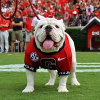 Bulldawg Illustrated On Air cover