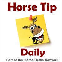 All Daily Tips – Horse Tip Daily cover