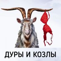 Дуры и Козлы. Психология отношений cover