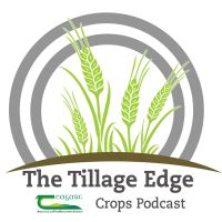 The Tillage Edge cover