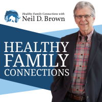HEALTHY FAMILY CONNECTIONS cover