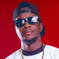DJ TOPHAZ MIXES cover
