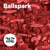 Ballspark cover