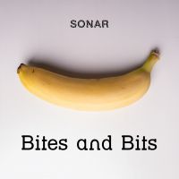 Bites and Bits cover