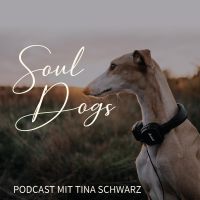 SoulDogs Dein Podcast für Herz & Hund cover