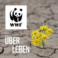 ÜberLeben cover