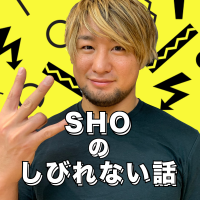 SHOのしびれない話 cover