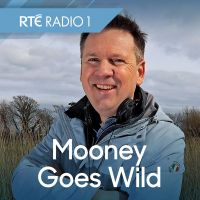 Mooney Goes Wild cover