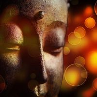 Geleide Meditaties cover