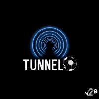 Tunnel cover