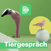 Tiergespräch - Deutschlandfunk Nova cover