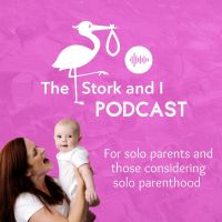 The Stork and I cover