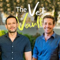 The Vet Vault cover