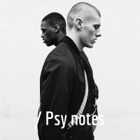 Психозаметки / Psy notes cover