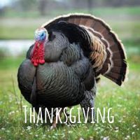 Thanksgiving cover