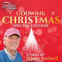 Godwink Christmas Stories - Limited Series cover