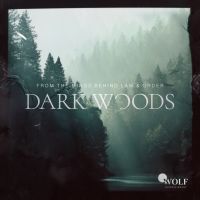 Dark Woods cover