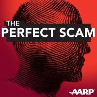 The Perfect Scam cover