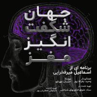 جهان شگفت انگیز مغز cover