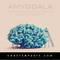 Amygdala Magazine cover