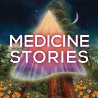 Medicine Stories cover