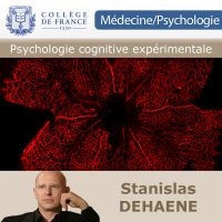 Psychologie cognitive expérimentale cover
