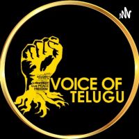Voice Of Telugu cover
