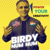 the Birdy Num Num Podcast cover