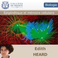 Epigénétique et mémoire cellulaire cover