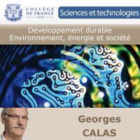 Développement durable – Environnement, énergie et société cover