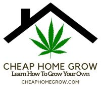 Cheap Home Grow - Learn How To Grow Cannabis Affordably Podcast cover