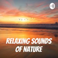Nature Sounds for Relaxation and Meditation cover