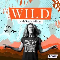 Wild with Sarah Wilson cover