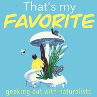 That's My Favorite cover