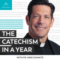 The Catechism in a Year (with Fr. Mike Schmitz) cover