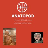 ANATOPOD - The Anatomy Podcast cover