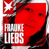 Frauke Liebs - Die Suche nach dem Mörder cover