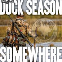 Duck Season Somewhere cover