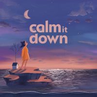 Calm it Down cover