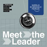 Meet The Leader cover