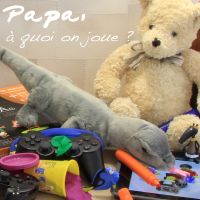 Papa, à quoi on joue ? cover