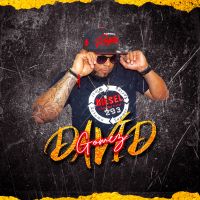 DJ DAVID GOMEZ cover